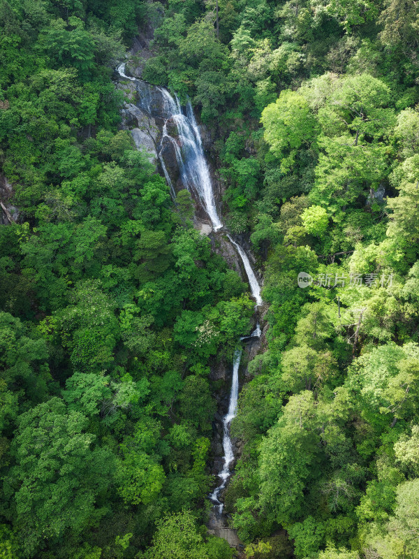 杭州临安东天目山风景区西瀑航拍