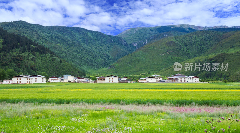 香格里拉纳帕海景区