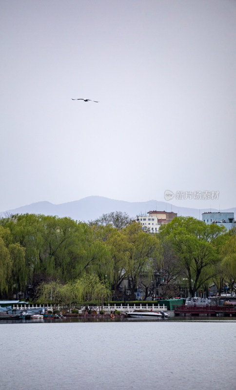 北京什刹海后海公园景点景观