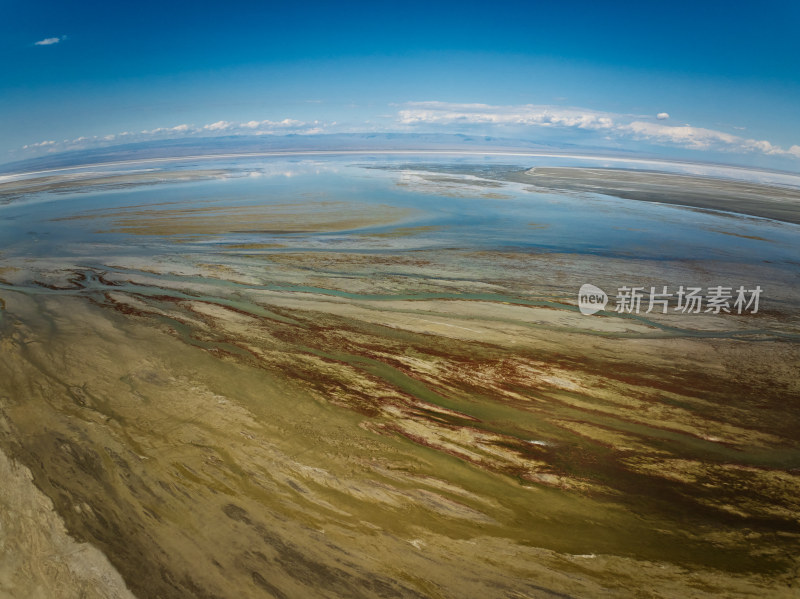 新疆艾比湖湿地