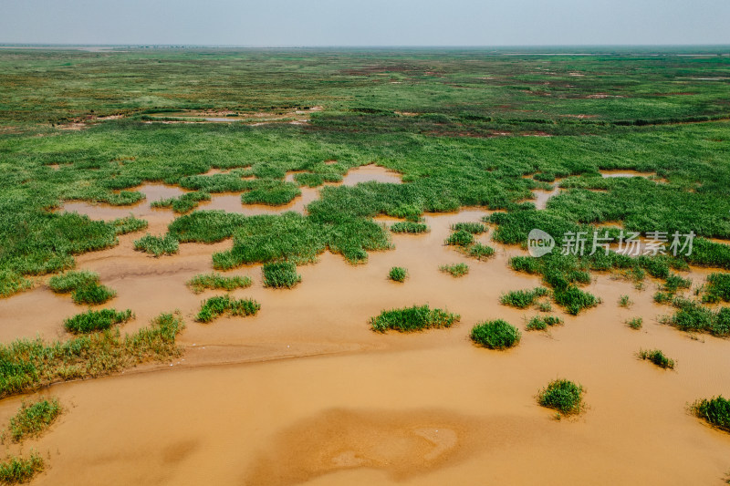 东营黄河口生态旅游区