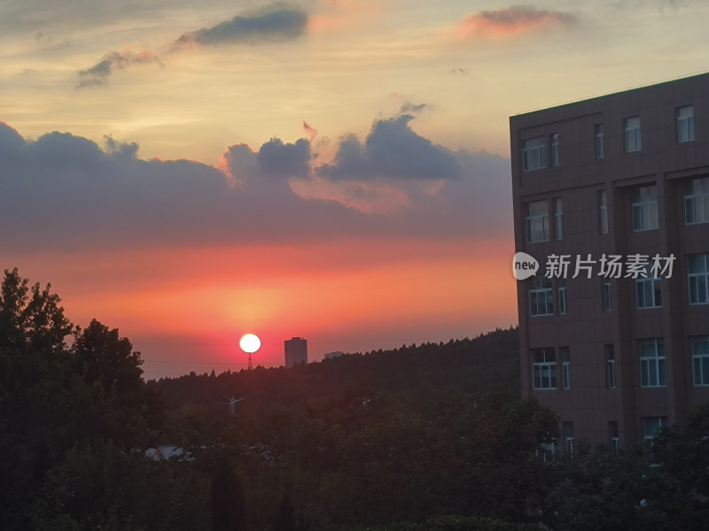 夕阳下建筑与树木景观