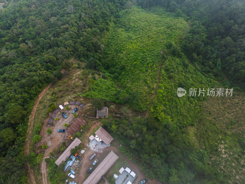 航拍视角下的丛林间越野车营地与植被景象