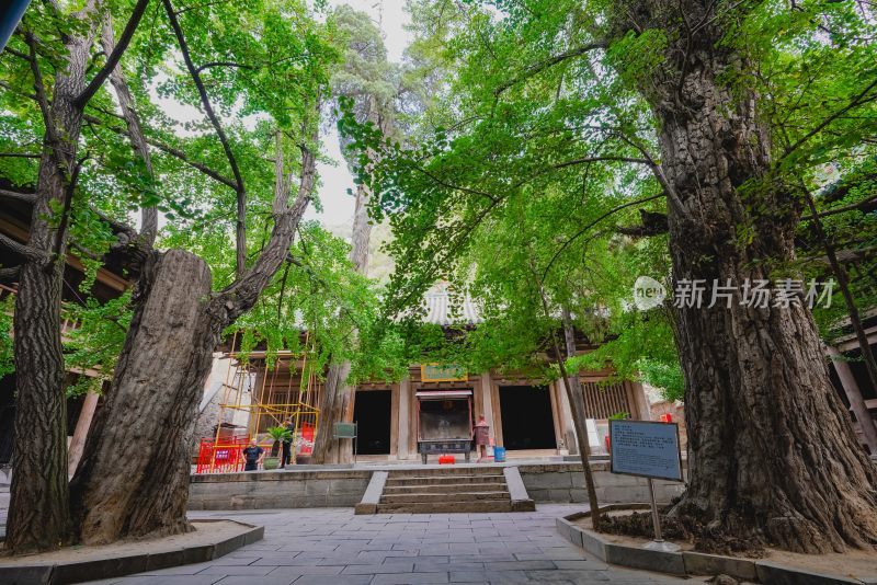 山西晋城青莲寺