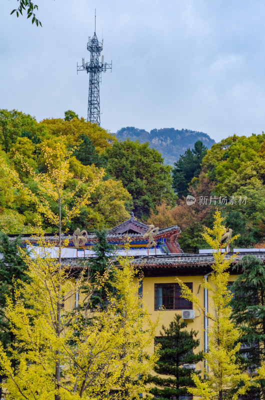 河南洛阳市白云山景区的秋季