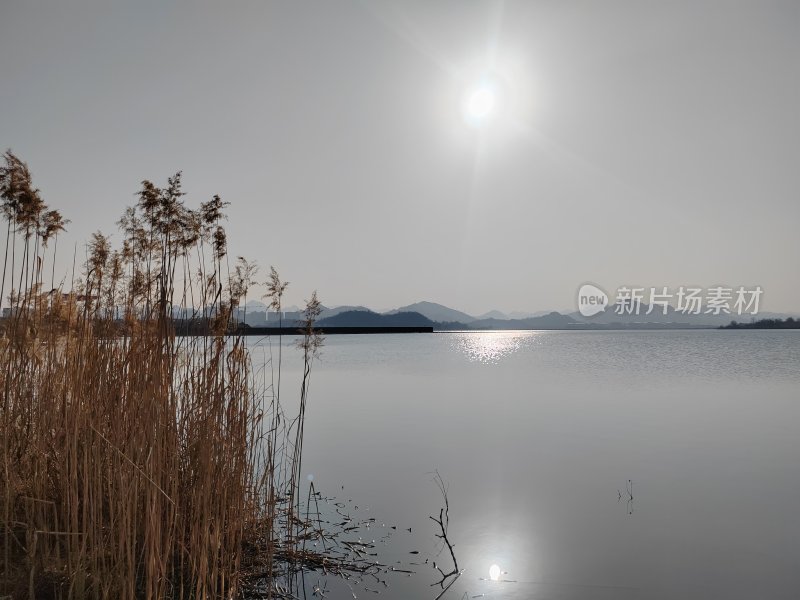 芦苇旁的平静湖水与远处山峦景色