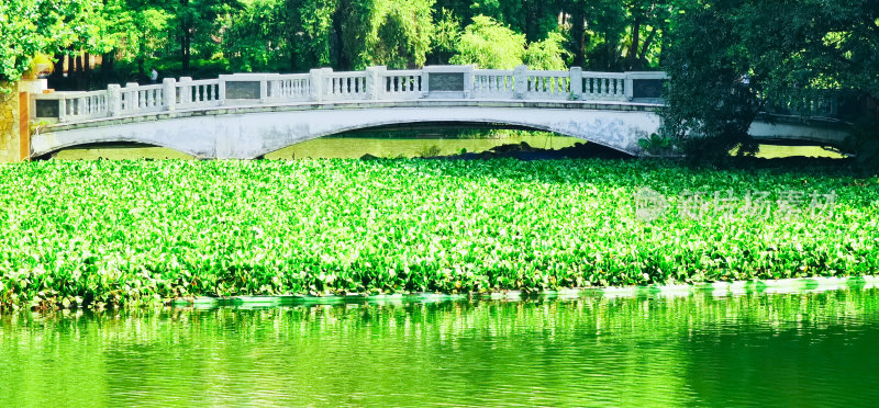 佛山市亚洲艺术公园湖景