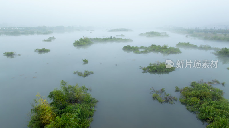 河流湿地雨雾朦胧自然风景