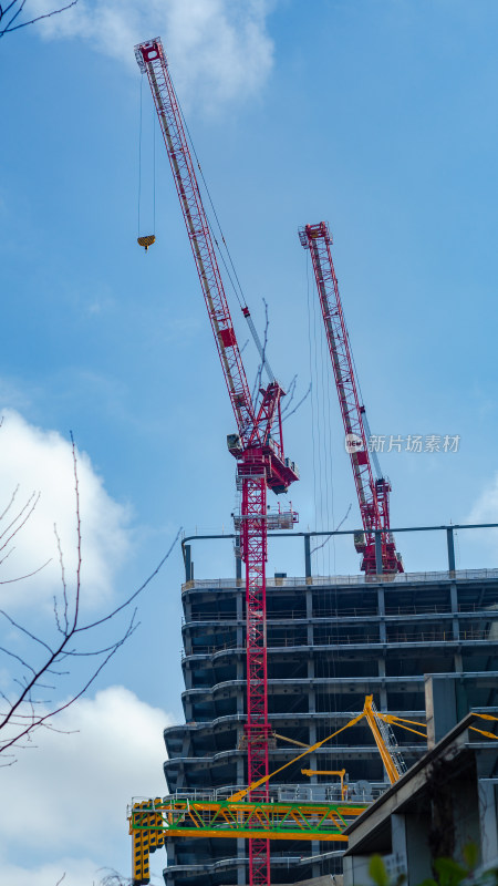 上海新建高楼的城市风光