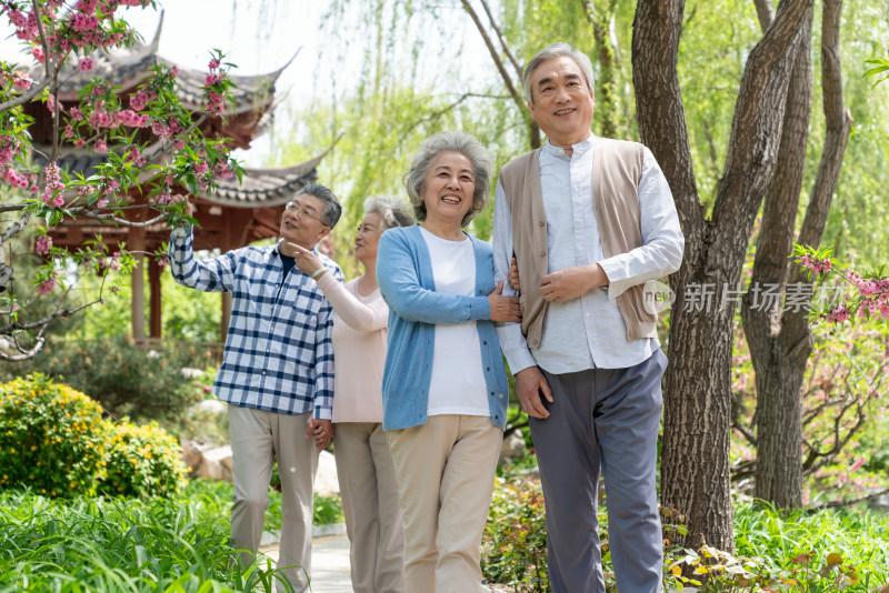 老年夫妻旅游