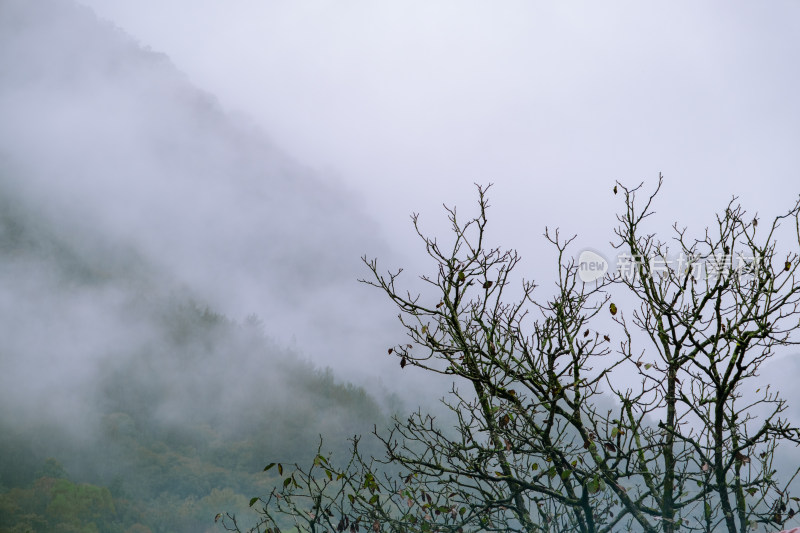 汉中留坝火烧店镇秦岭深处雨后山间的云雾