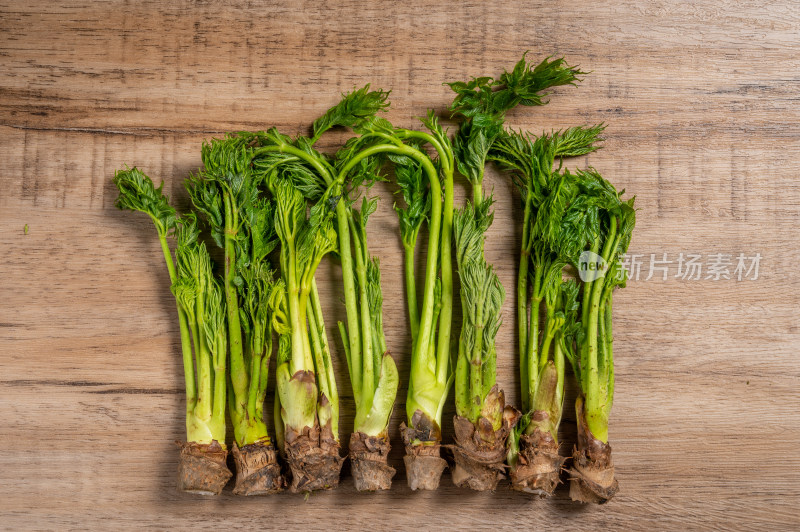 新鲜野菜刺嫩芽