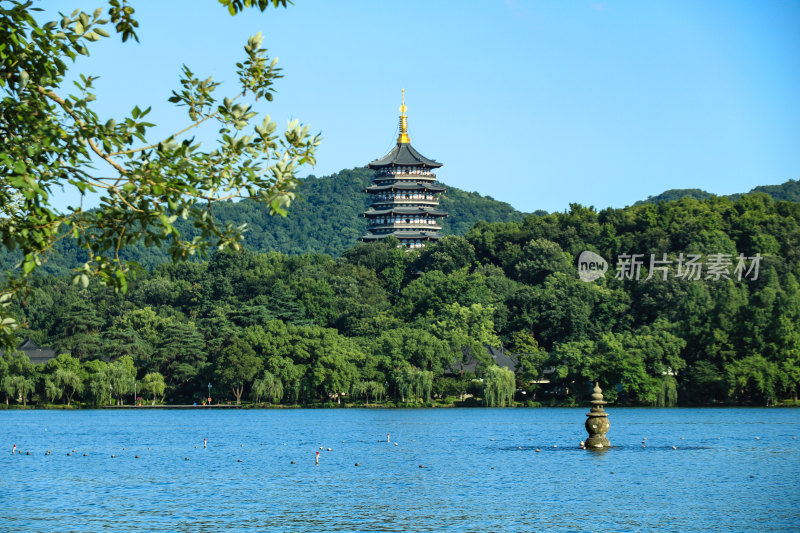 夏日蓝天下的杭州西湖雷峰塔湖光风景