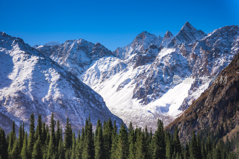 新疆夏塔雪山森林自然风景