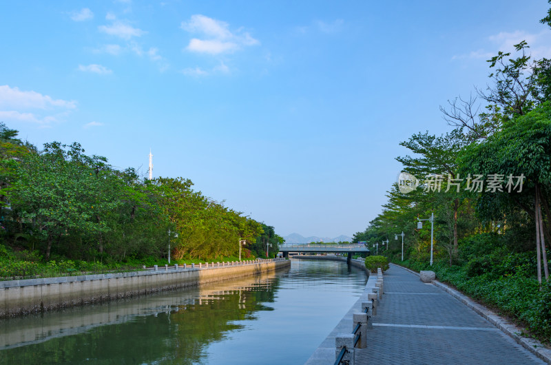 深圳湾公园河流与城市高楼建筑