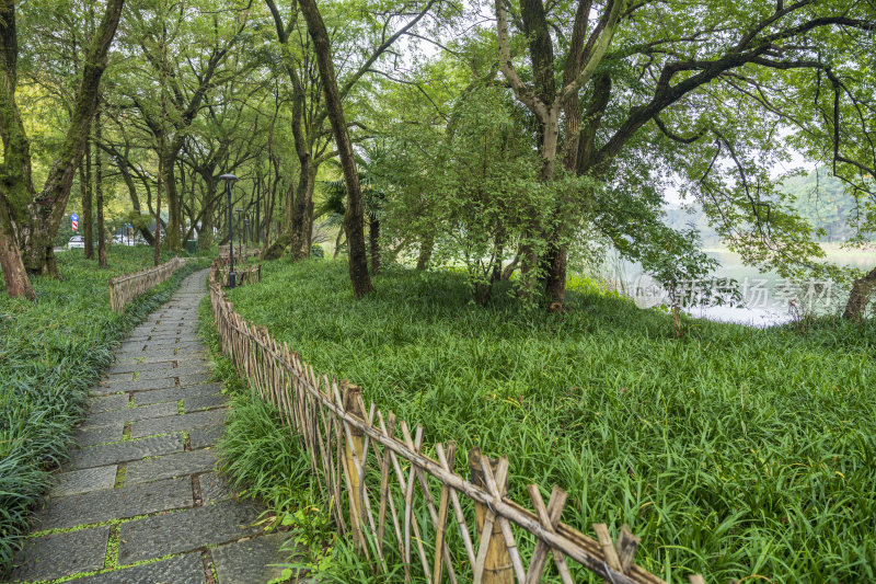 杭州三台山乌龟潭风景