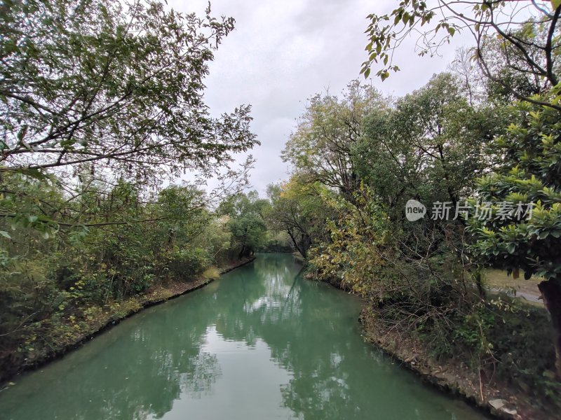 树木环绕的清幽小河自然风景