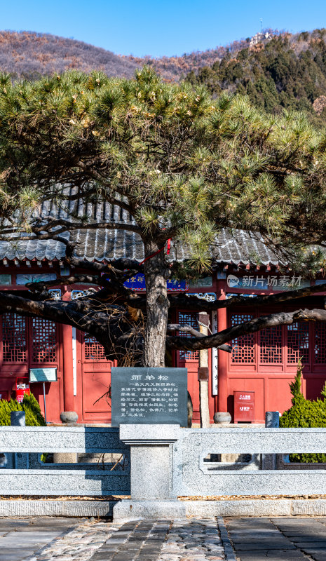 山东泰安普照寺景观景点