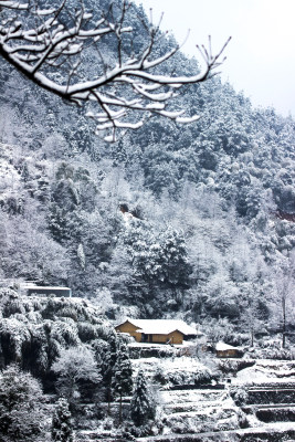 雪后的云和梯田风景