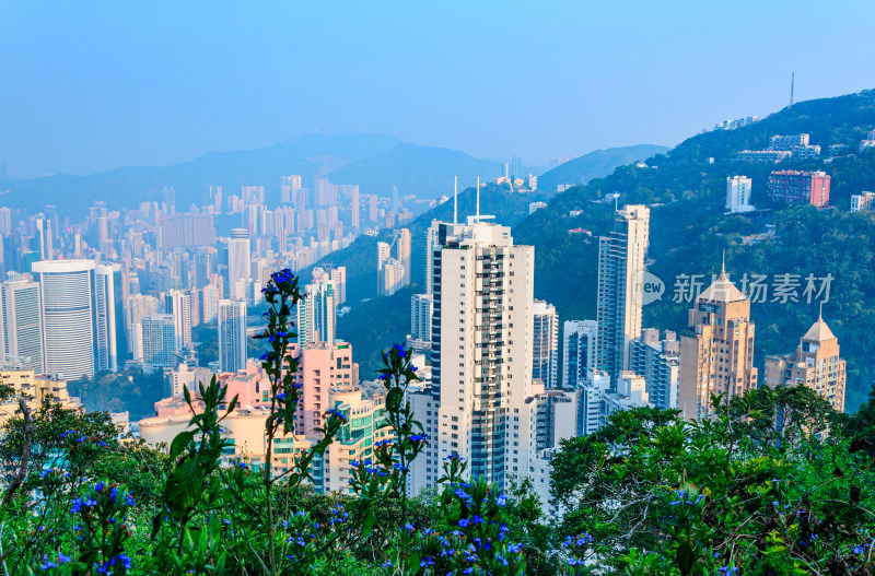 香港太平山顶俯瞰城市高楼建筑群景观