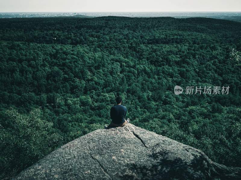 大自然森林树木旅行徒步野营