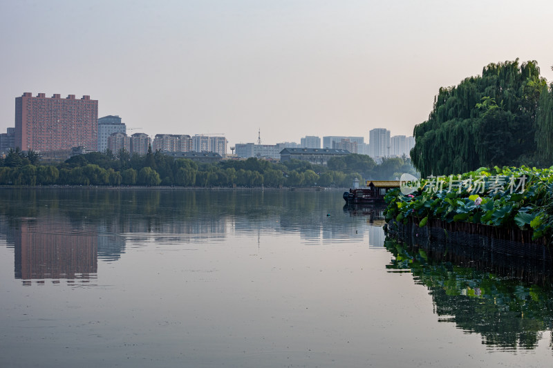 山东济南大明湖风景区自然景观与城市风光