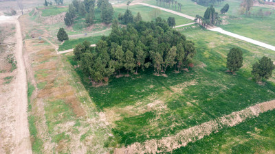 周口淮阳平粮台古城遗址