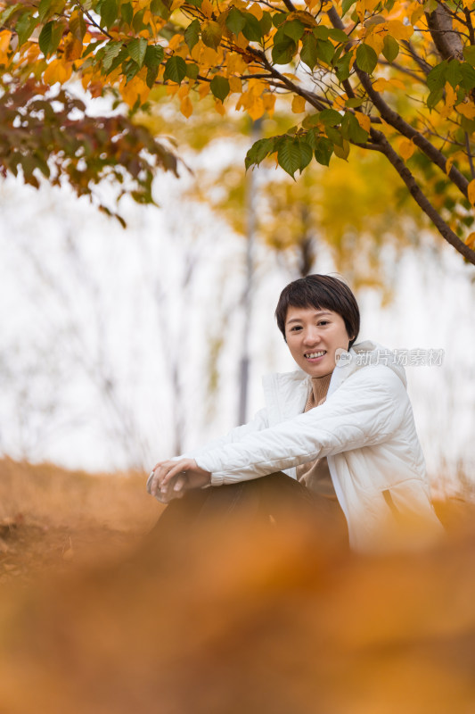 北京秋天秋游坐在树林中欣赏秋色美景的女性