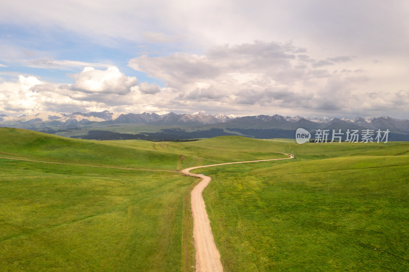 中国新疆伊犁喀拉峻大草原自然风景