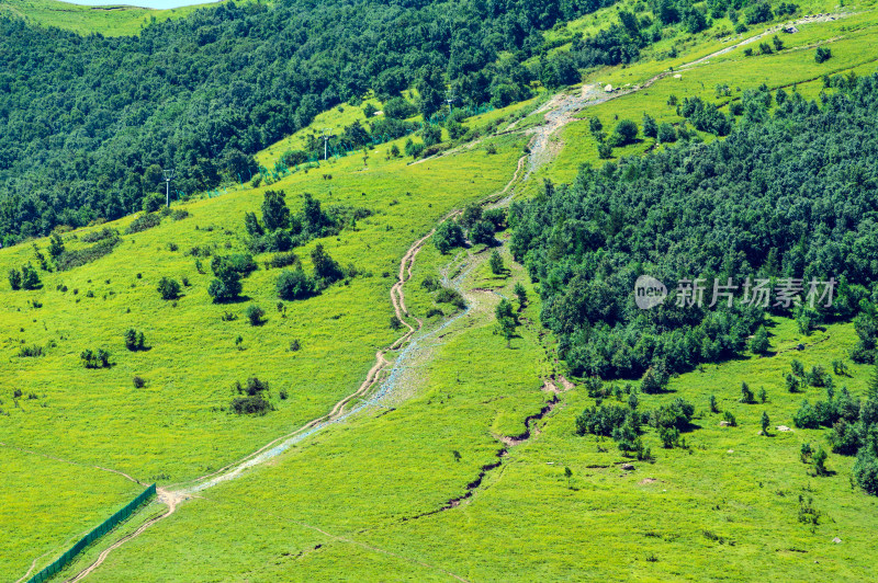 夏季蓝天白云绿色高山草甸群山大气风光