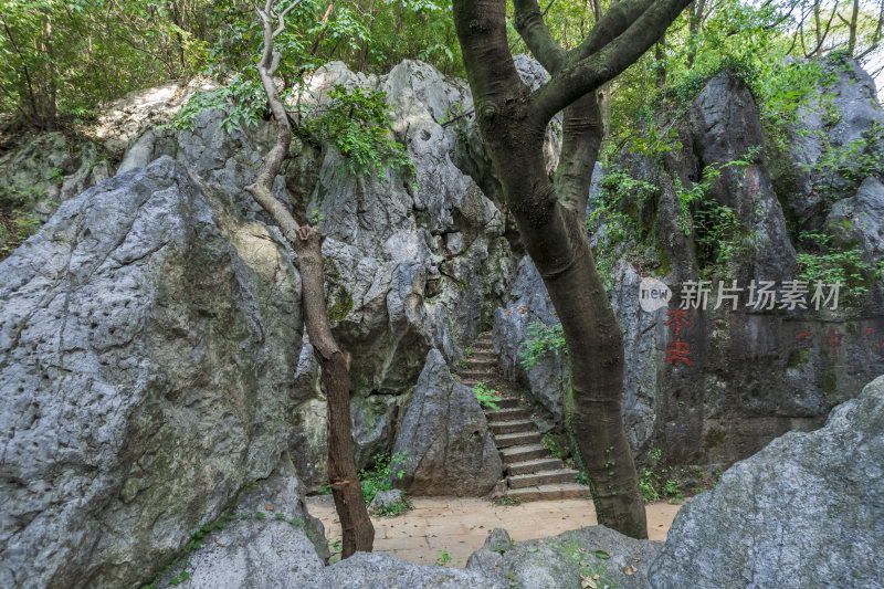 杭州凤凰山景区月岩石灰岩石林