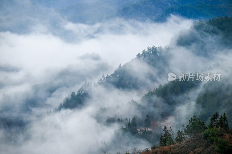 重庆酉阳：雾气中的山村田园