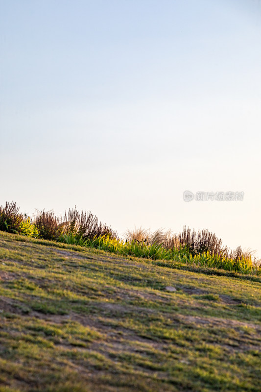 黄昏落日时青岛小麦岛公园自然风景城市景观