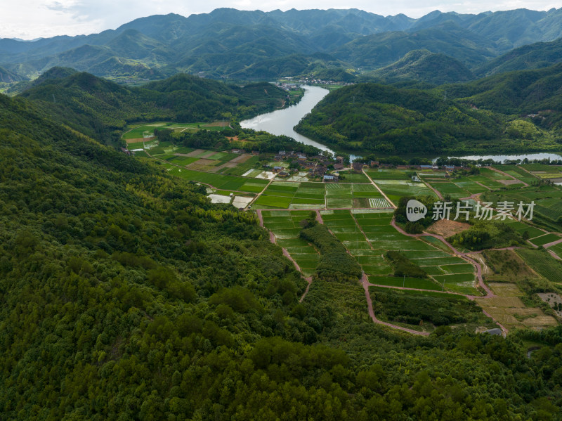 航拍乡村绿色稻田