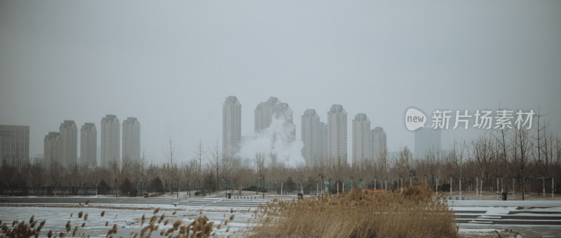 天津市水西公园 冬天雪景