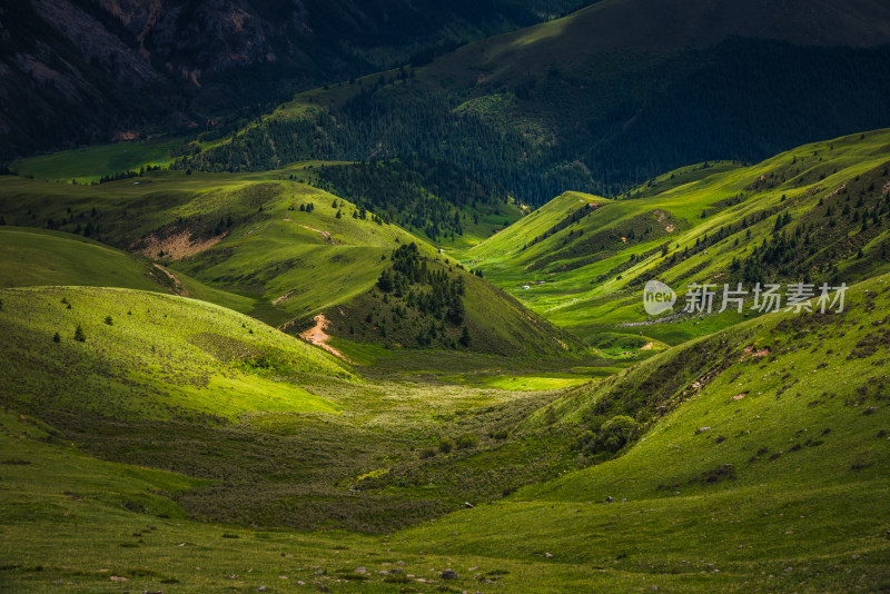 阳光下山谷草原连绵起伏的绿色山川