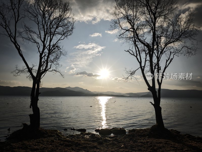 湖畔枯树与夕阳风景