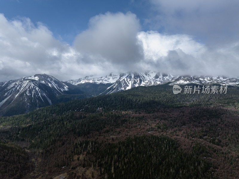 航拍美丽中国香格里拉高海高海拔雪山、森林