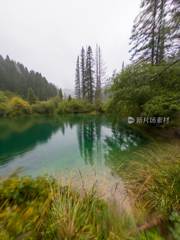 静谧的森林与湖景