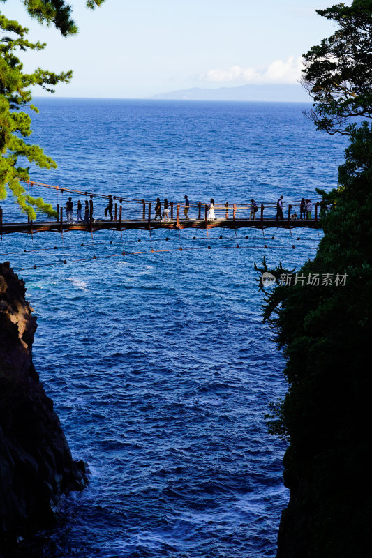 日本静冈县伊东市城崎海岸门胁吊桥一户建