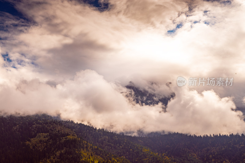 云雾中的森林山峰虎头山