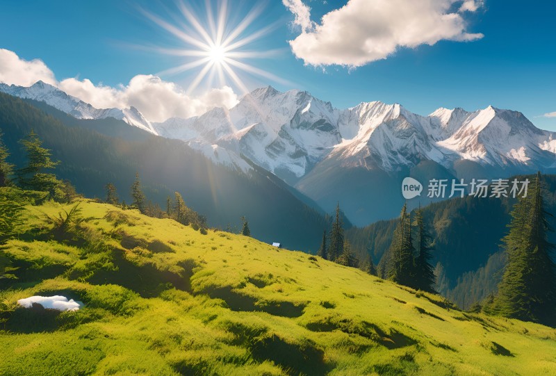 雪山草原森林风景