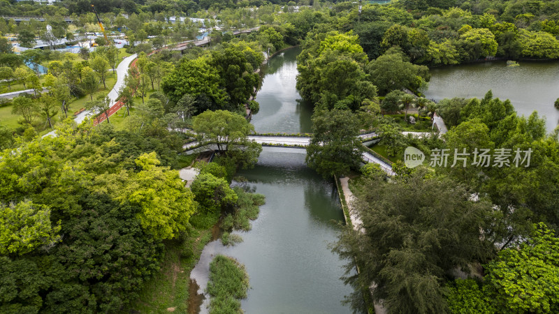 航拍深圳笔架山福田河自然风光