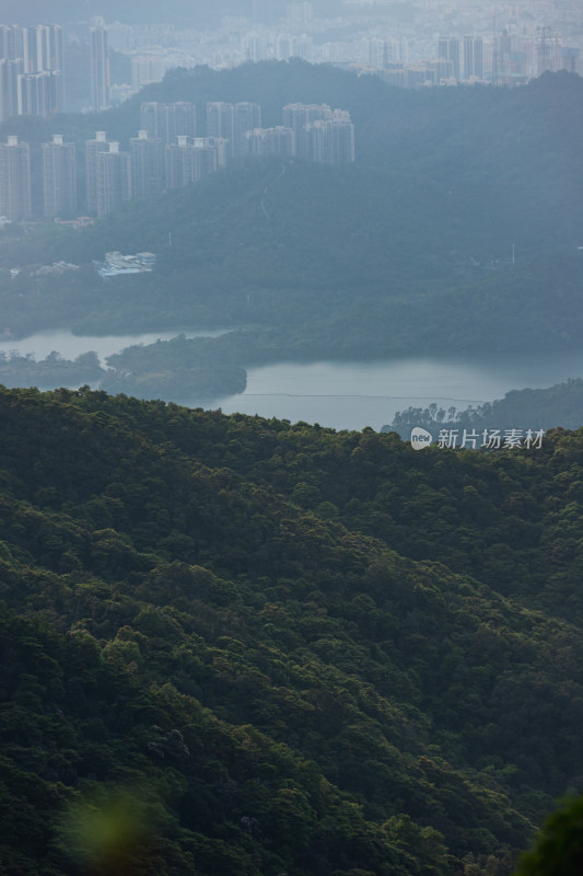 深圳梧桐山