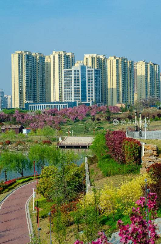 春天的渭南南湖公园湖上风景