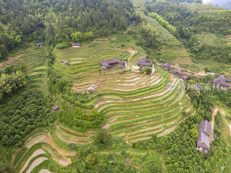 高山梯田农田农业种植航拍