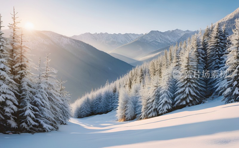 冬季森林白雪覆盖风景