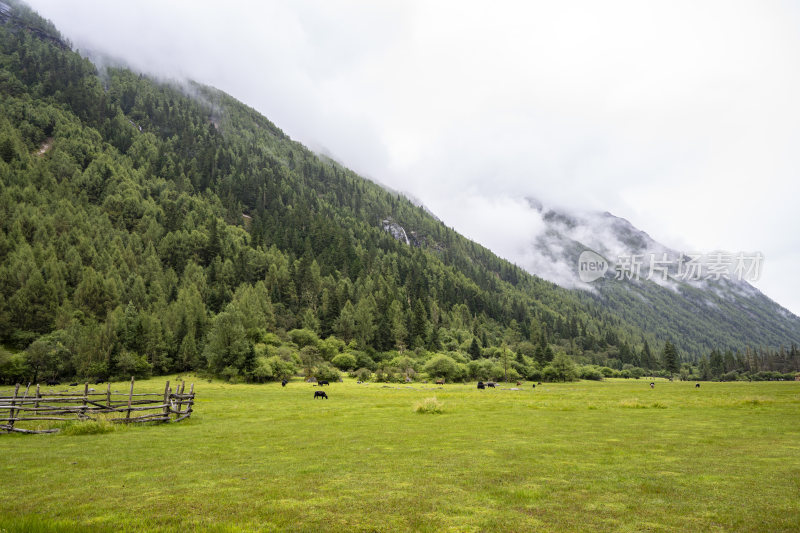 四川四姑娘山双桥沟自然风景