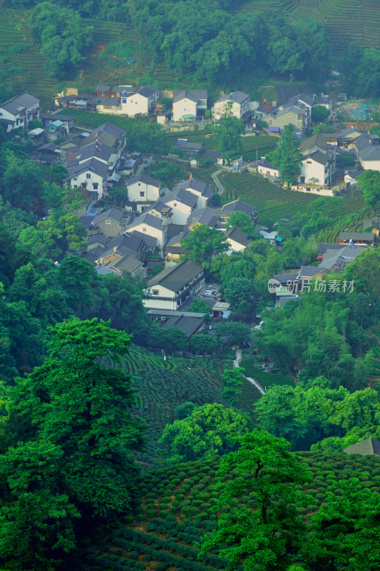 浙江杭州龙井村