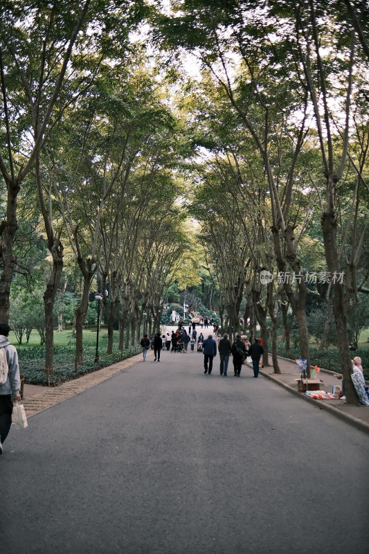 深圳莲花山公园